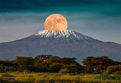  Kilimanjaro,  En Melodi Av Bergens Höjd och Savannens Lugn