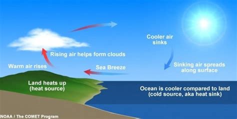 宮古島 モーニング：海風と共に始まる一日